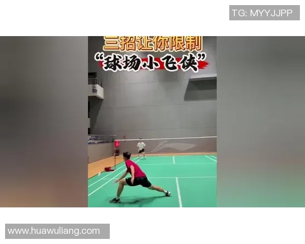 羽毛球战术解析：探秘北京羽毛球队的区域防守策略与实践