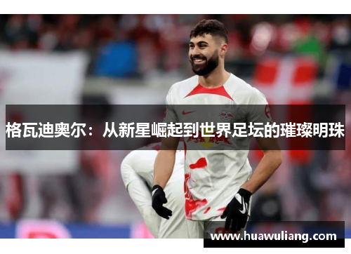 格瓦迪奥尔：从新星崛起到世界足坛的璀璨明珠